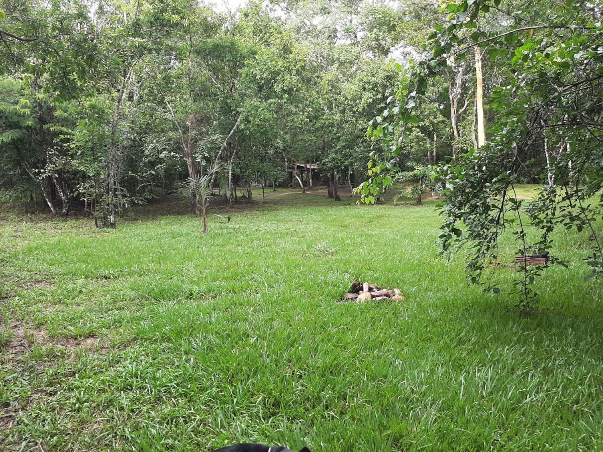 Camping Das Aguas Pirenópolis エクステリア 写真