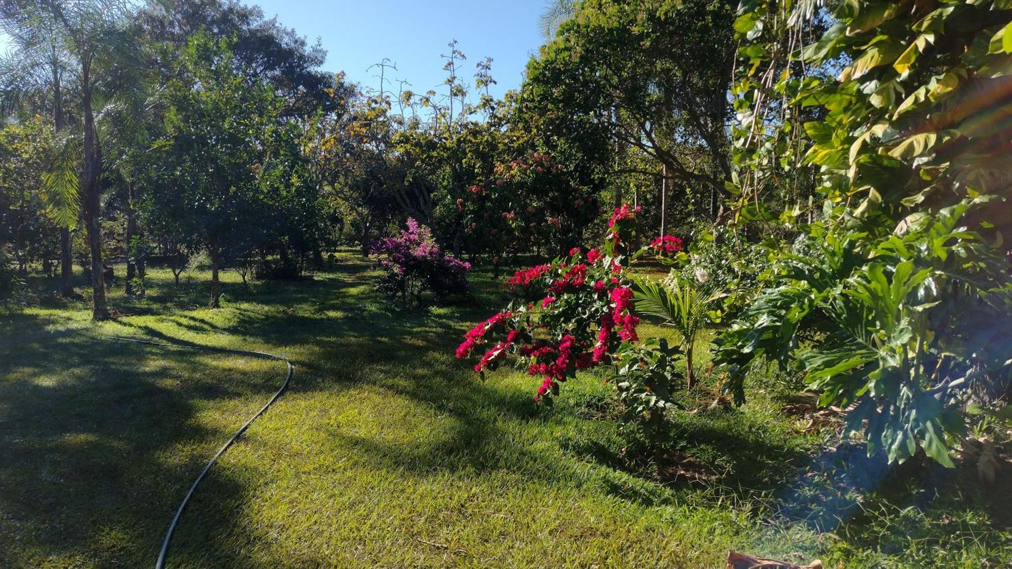 Camping Das Aguas Pirenópolis エクステリア 写真