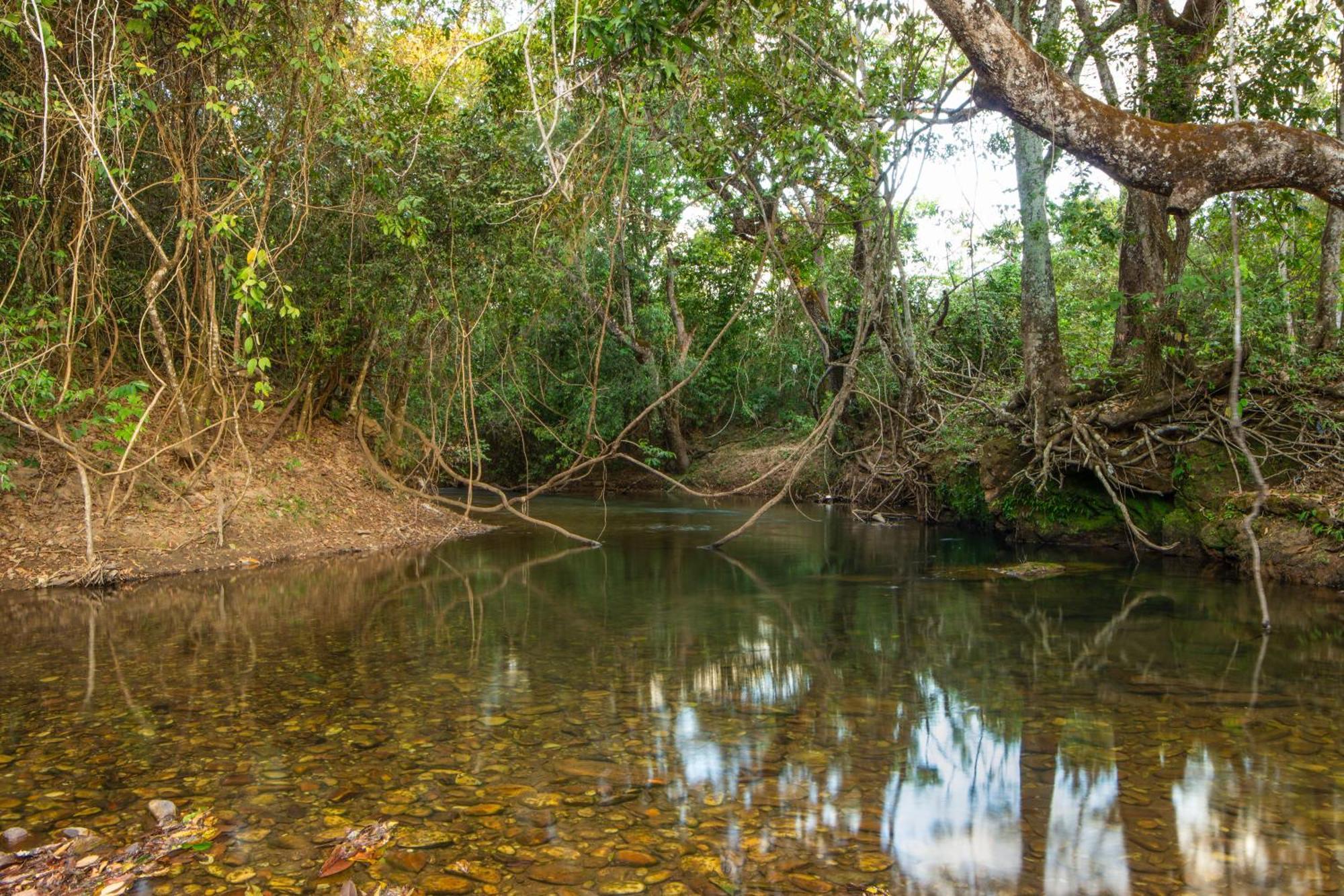 Camping Das Aguas Pirenópolis エクステリア 写真